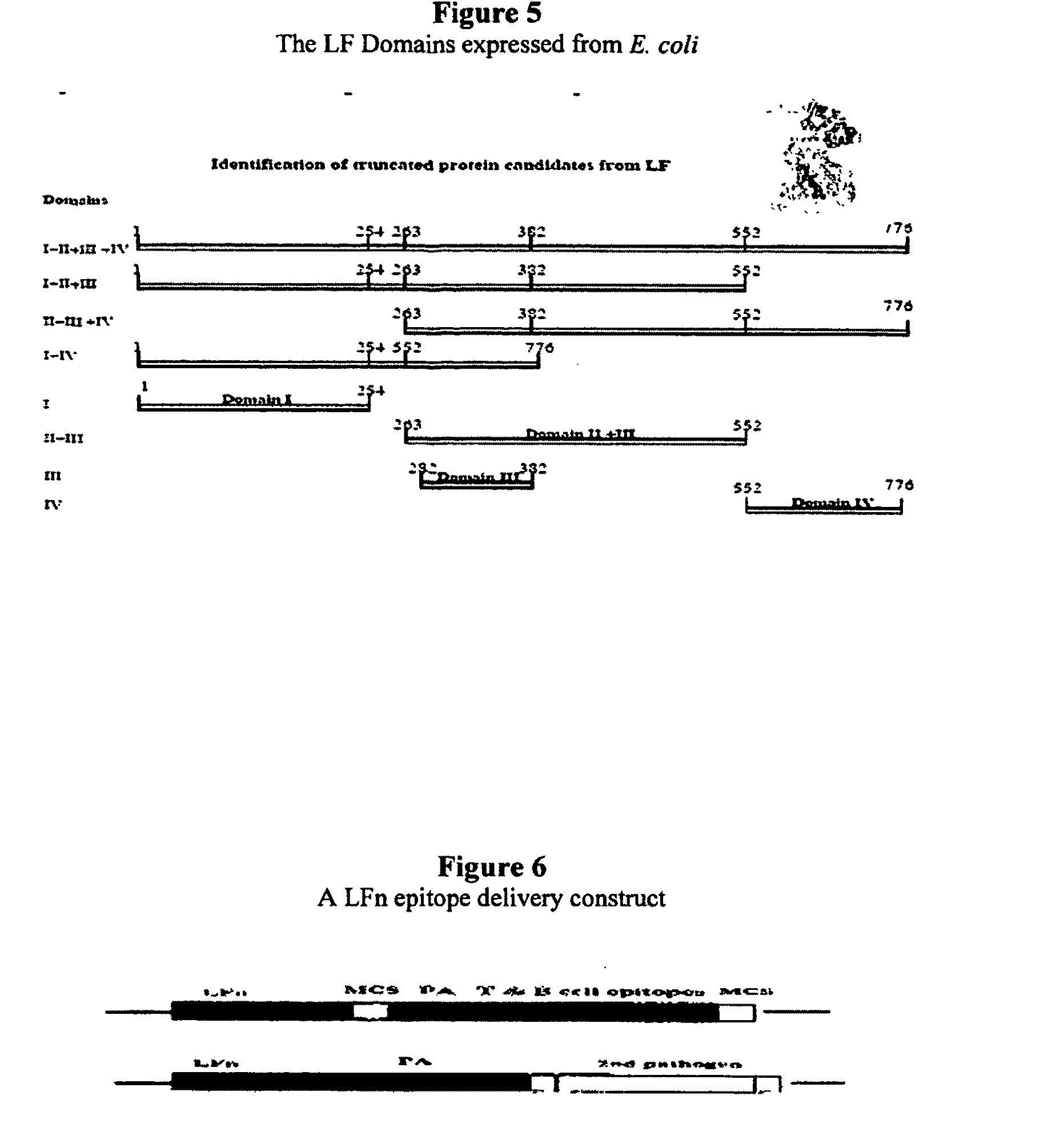 Salmonella Based Oral Vaccines for Anthrax