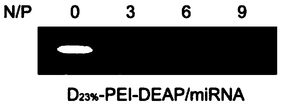 Weak acid ionizable amphiphilic zwitterionic carrier, micelle drug delivery system and preparation method and application thereof