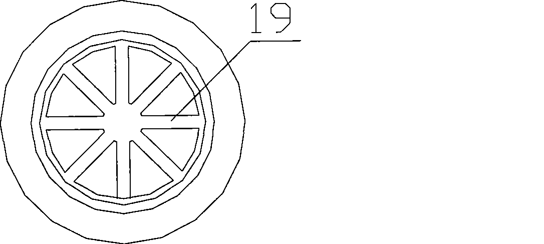 Screw rod injection type plant fibre steam blasting device and method