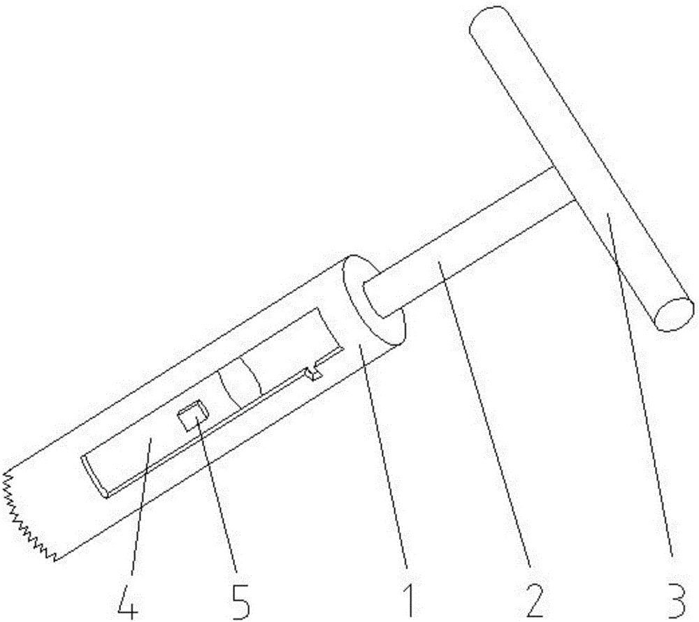 Hollow trephine provided with push rod