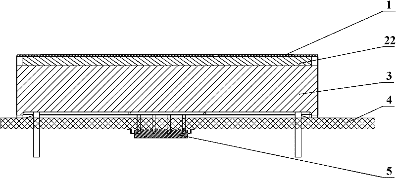 Capacitive touch screen