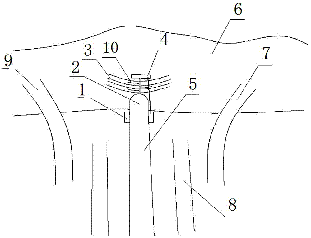 Cold and arid region tunnel gentle slope type portal snow blowing prevention forest building and planting method