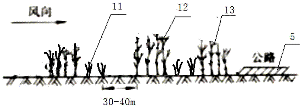 Cold and arid region tunnel gentle slope type portal snow blowing prevention forest building and planting method