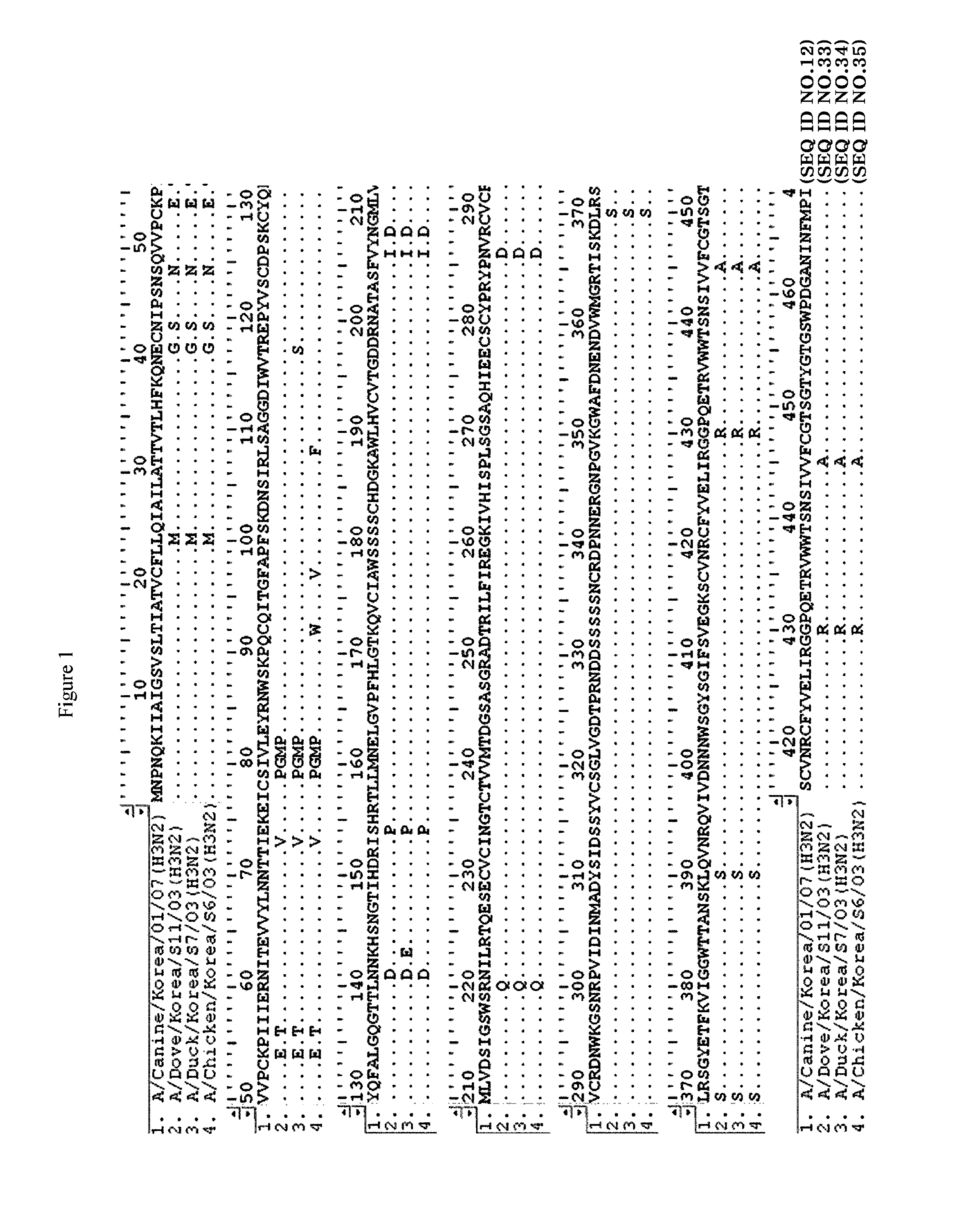 Canine influenza virus and vaccine therefore