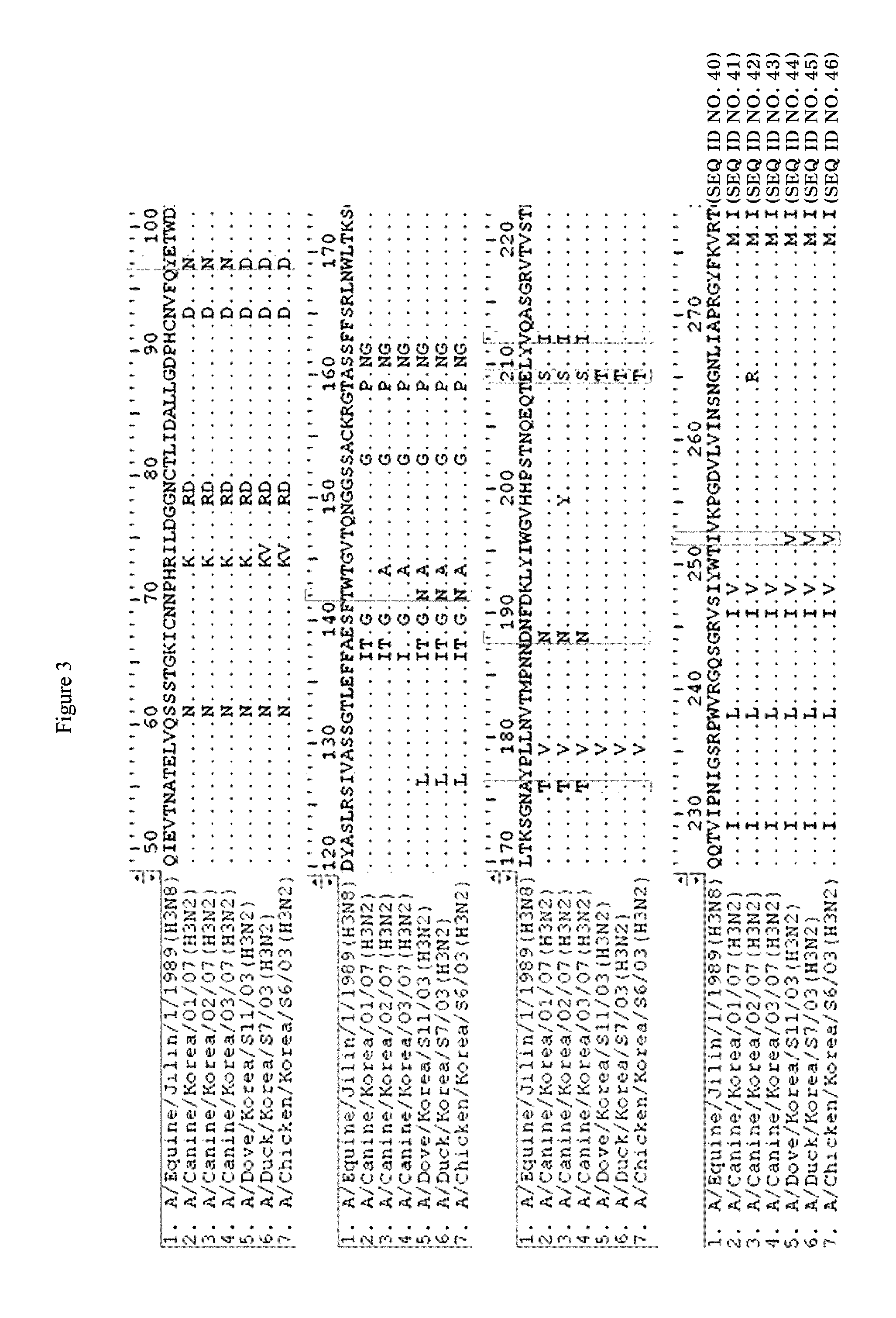 Canine influenza virus and vaccine therefore