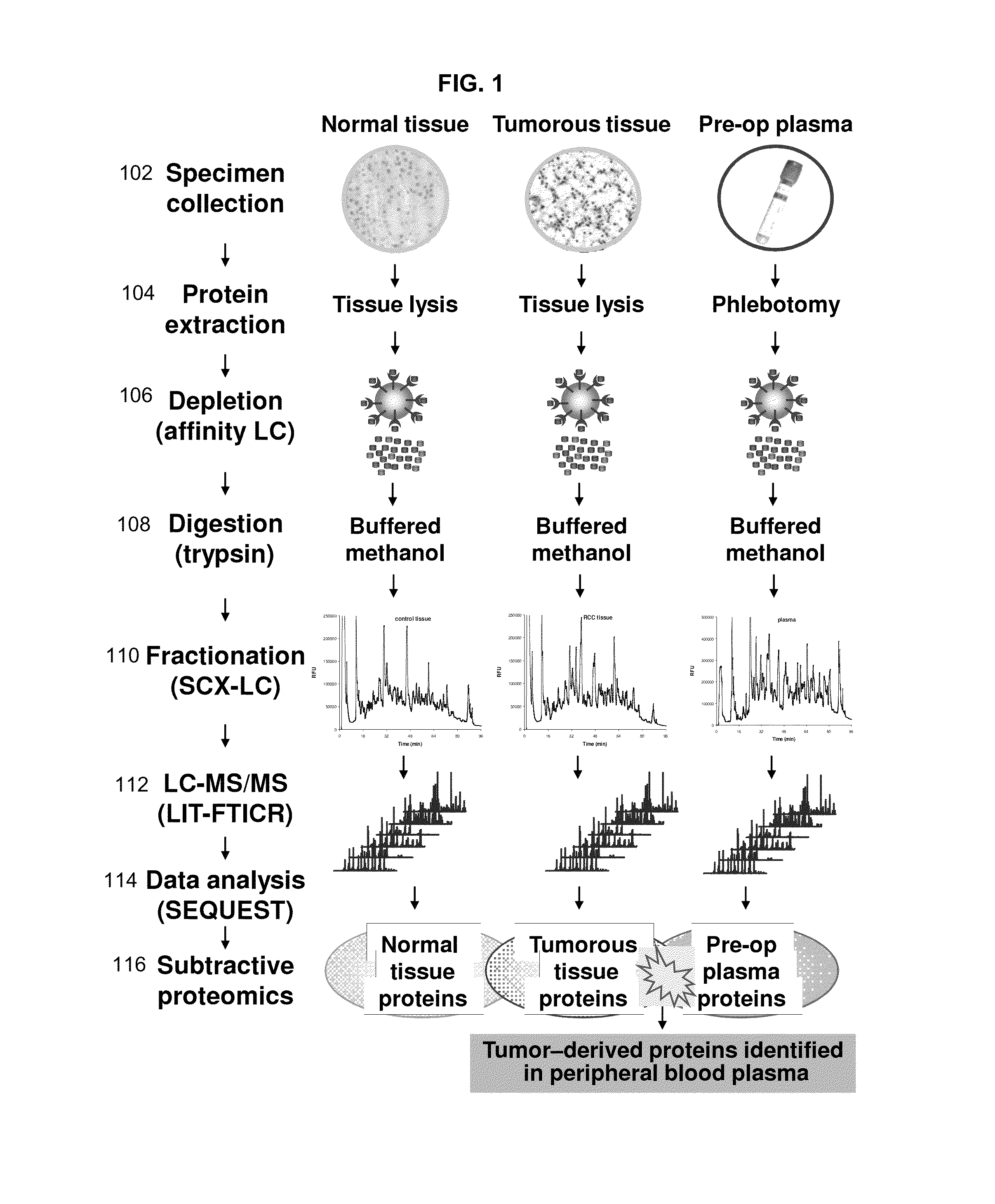 Renal cell carcinoma biomarkers