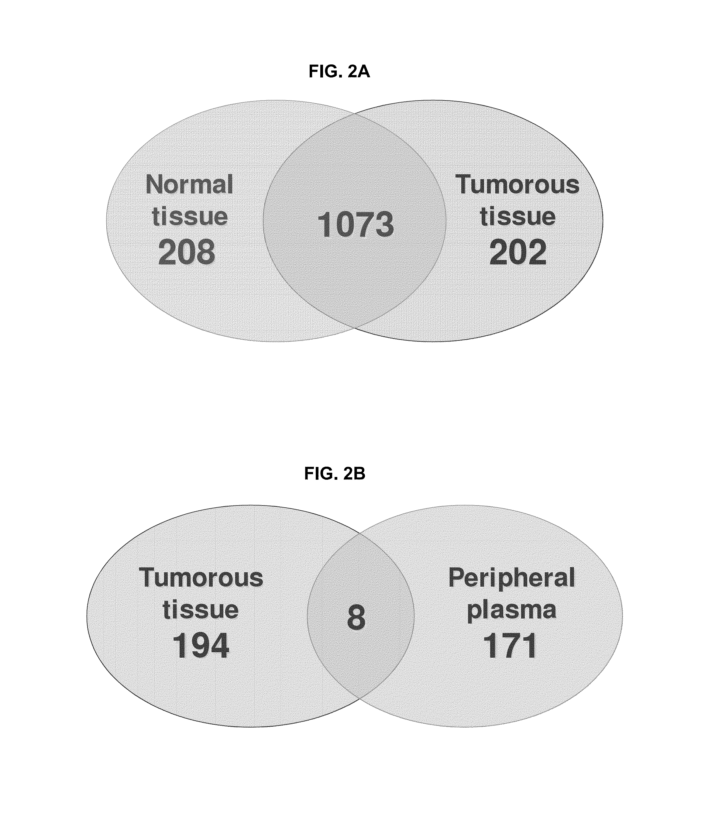 Renal cell carcinoma biomarkers