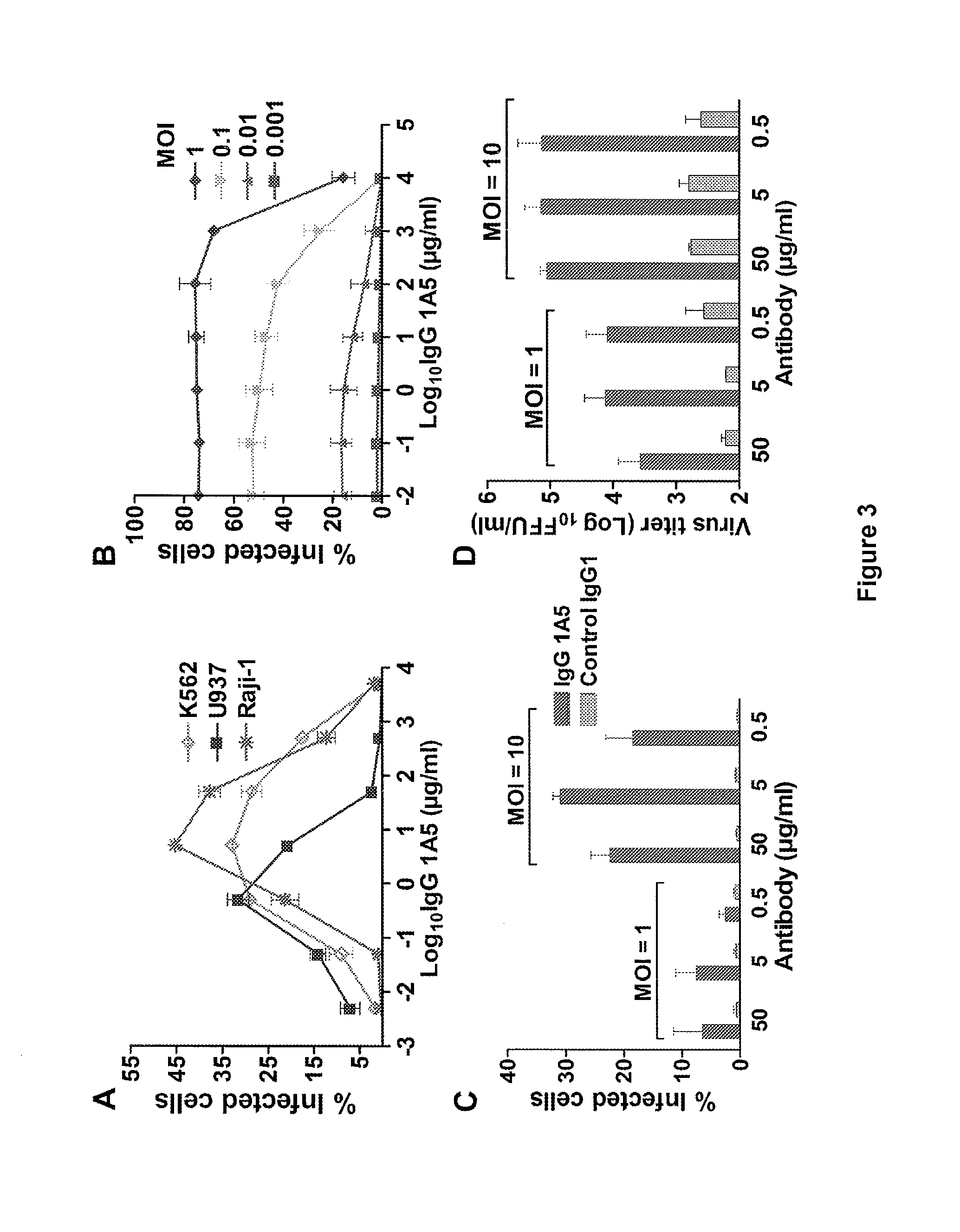 Monoclonal antibodies against dengue and other viruses with deletion in fc region