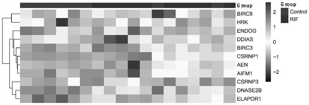 Application of apoptosis-related genes in repeated implantation failure