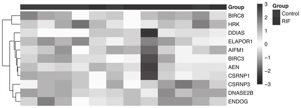 Application of apoptosis-related genes in repeated implantation failure