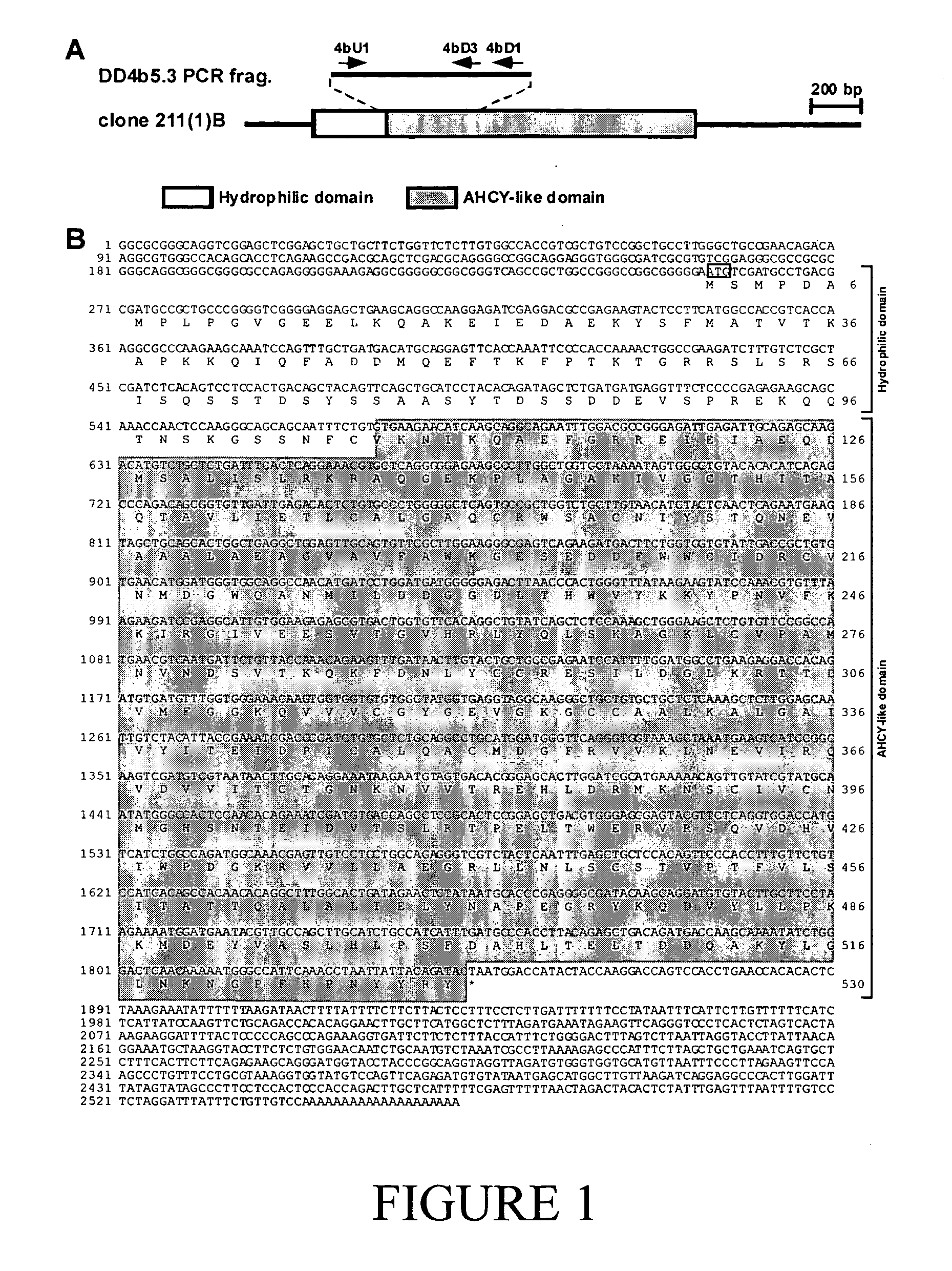 Novel polynucleotides and uses therefor