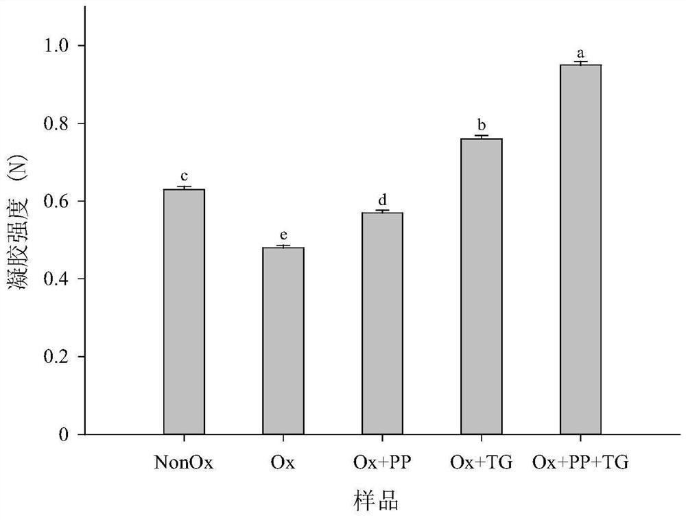 Method for repairing performance of oxidative damage protein gel based on PP-TGase