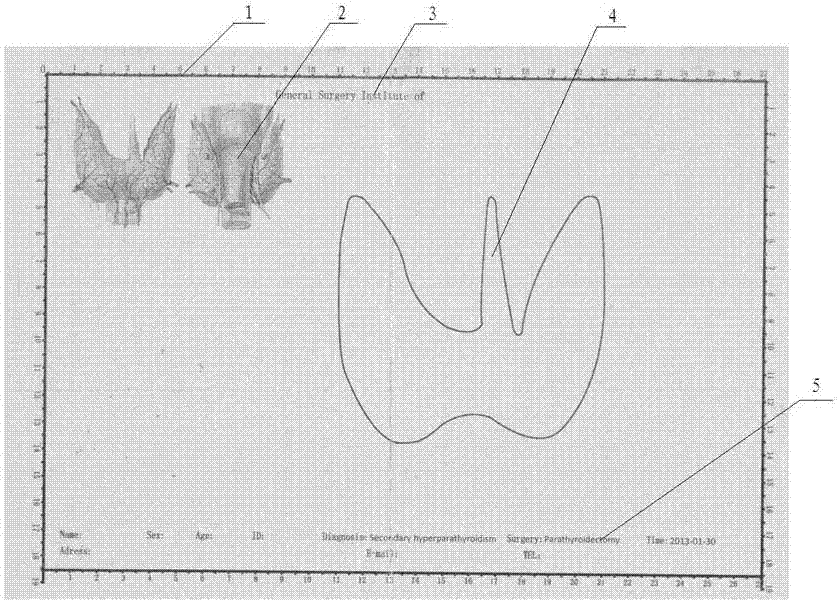 Rapid surgical specimen recording paper and recording method thereof