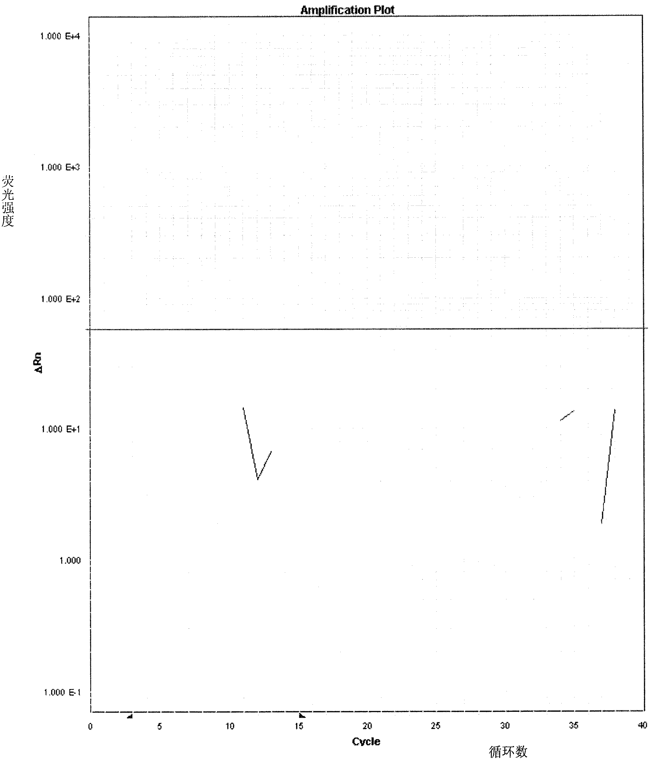 Preparation method of kit for fast detecting fox ingredients in food and feed and detection method of fox ingredients in food and feed