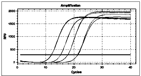 Method for rapid reverse transcription of micro ribonucleic acid (RNA) library