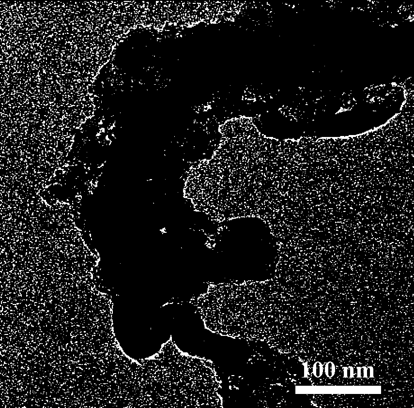 Co-N doped porous carbon coated carbon nanotube core-shell structure catalyst and preparation method thereof and application of Co-N doped porous carbon coated carbon nanotube core-shell structure catalyst