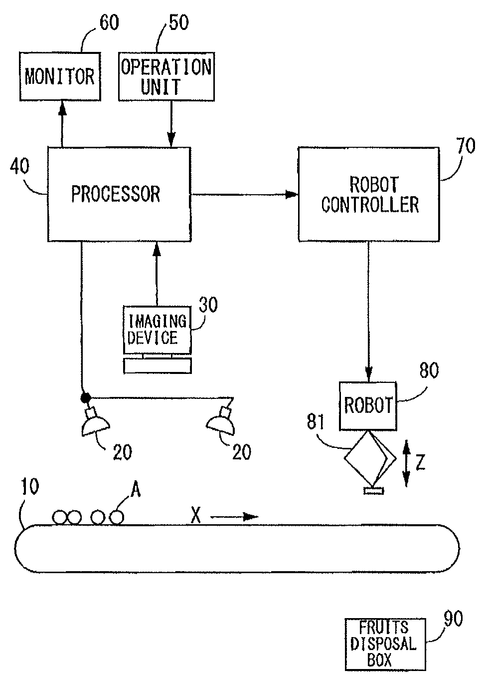 Fruits sorting apparatus and fruits sorting method