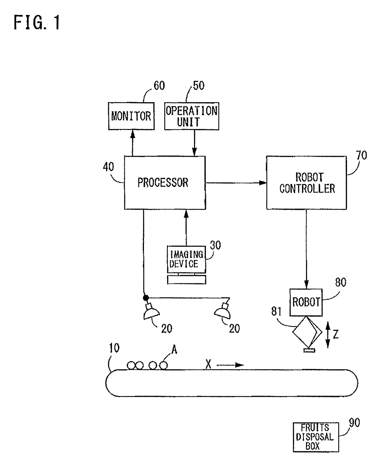 Fruits sorting apparatus and fruits sorting method