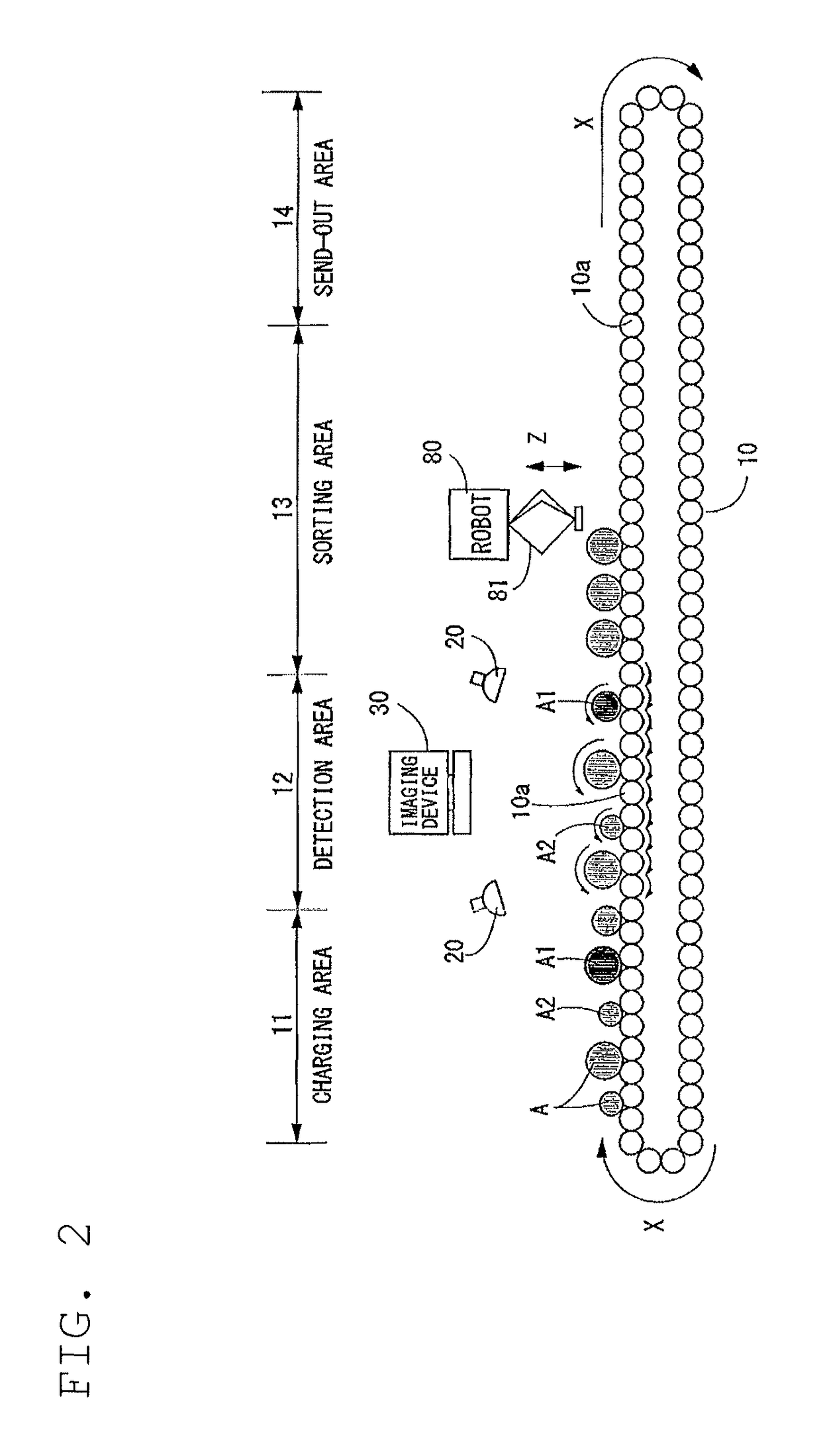 Fruits sorting apparatus and fruits sorting method