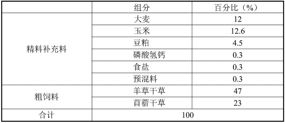 Composite agent for improving food consumption of 8-month-old to 12-month-old foals and application