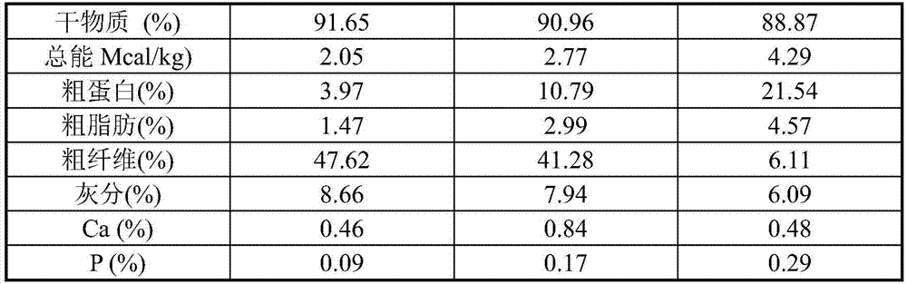 Composite agent for improving food consumption of 8-month-old to 12-month-old foals and application