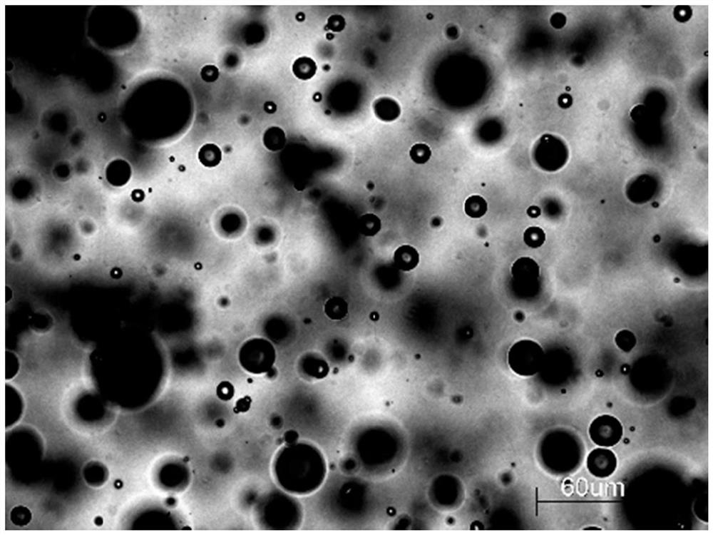 Skin cleaning composition as well as preparation method and application thereof