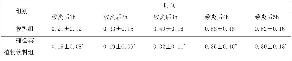 Dandelion plant beverage and preparation method and detection method thereof