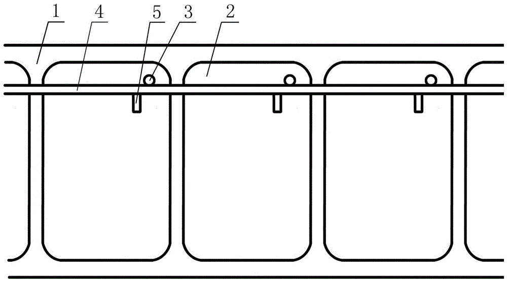 Breeding method for prolonging mating Andrias breeding age