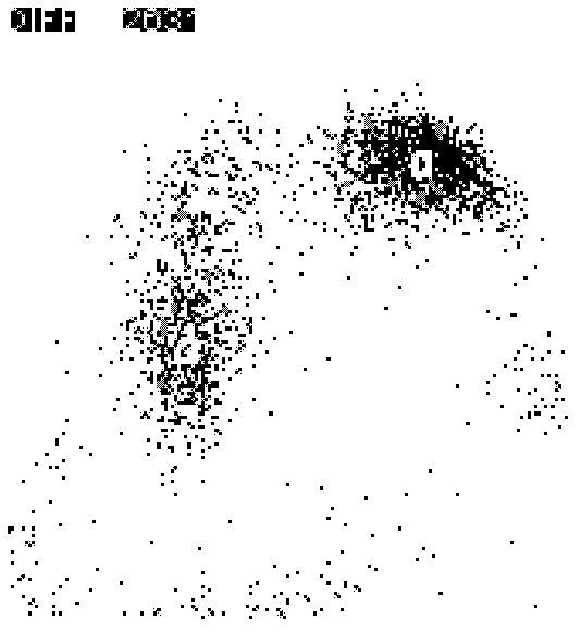 Method for automatically classifying particles