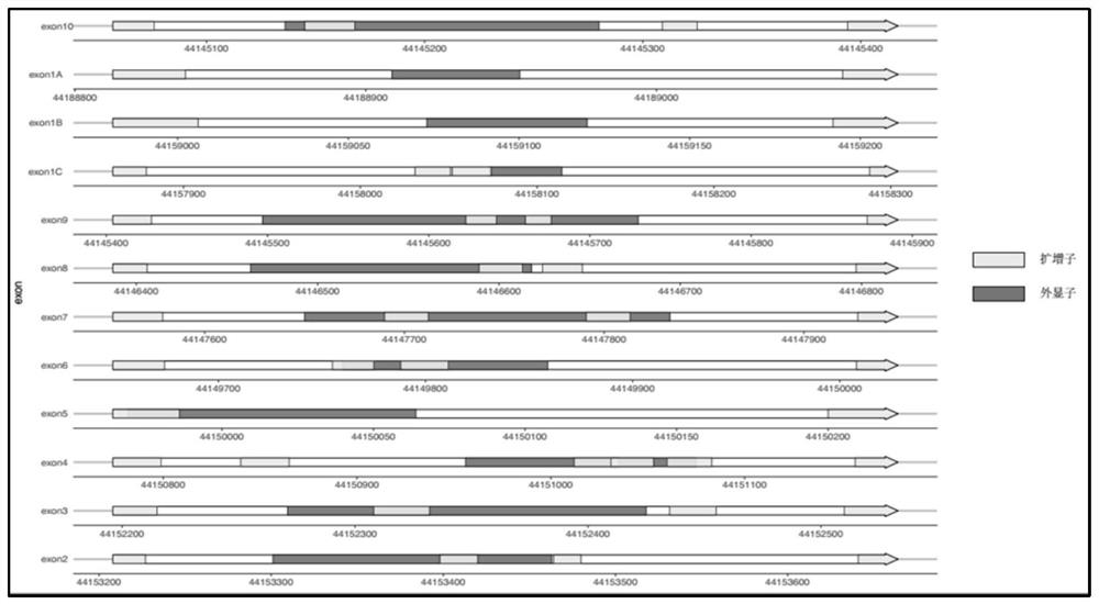 Method and kit for detecting gck-mody gene mutation