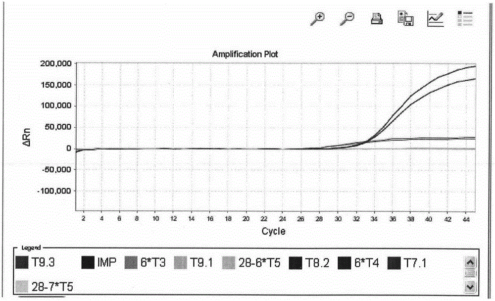 UGT1A1 combined gene locus fluorescence detection kit for guiding irinotecan chemotherapeutic drug individualized treatment