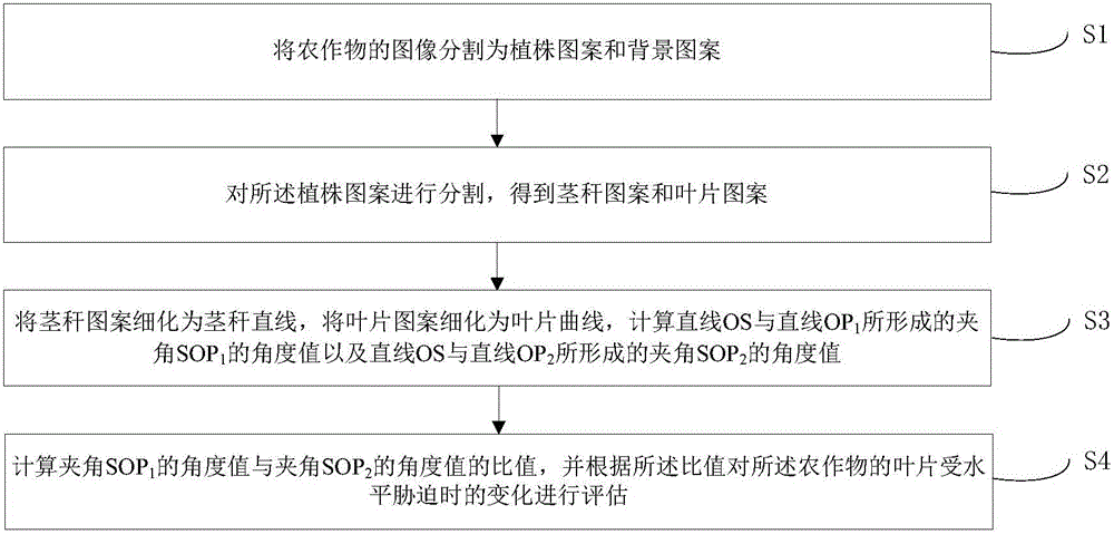 Crop plant water stress phenotype detection method based on image processing