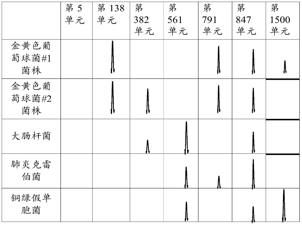 Method for identifying microorganisms by adopting mass spectrum