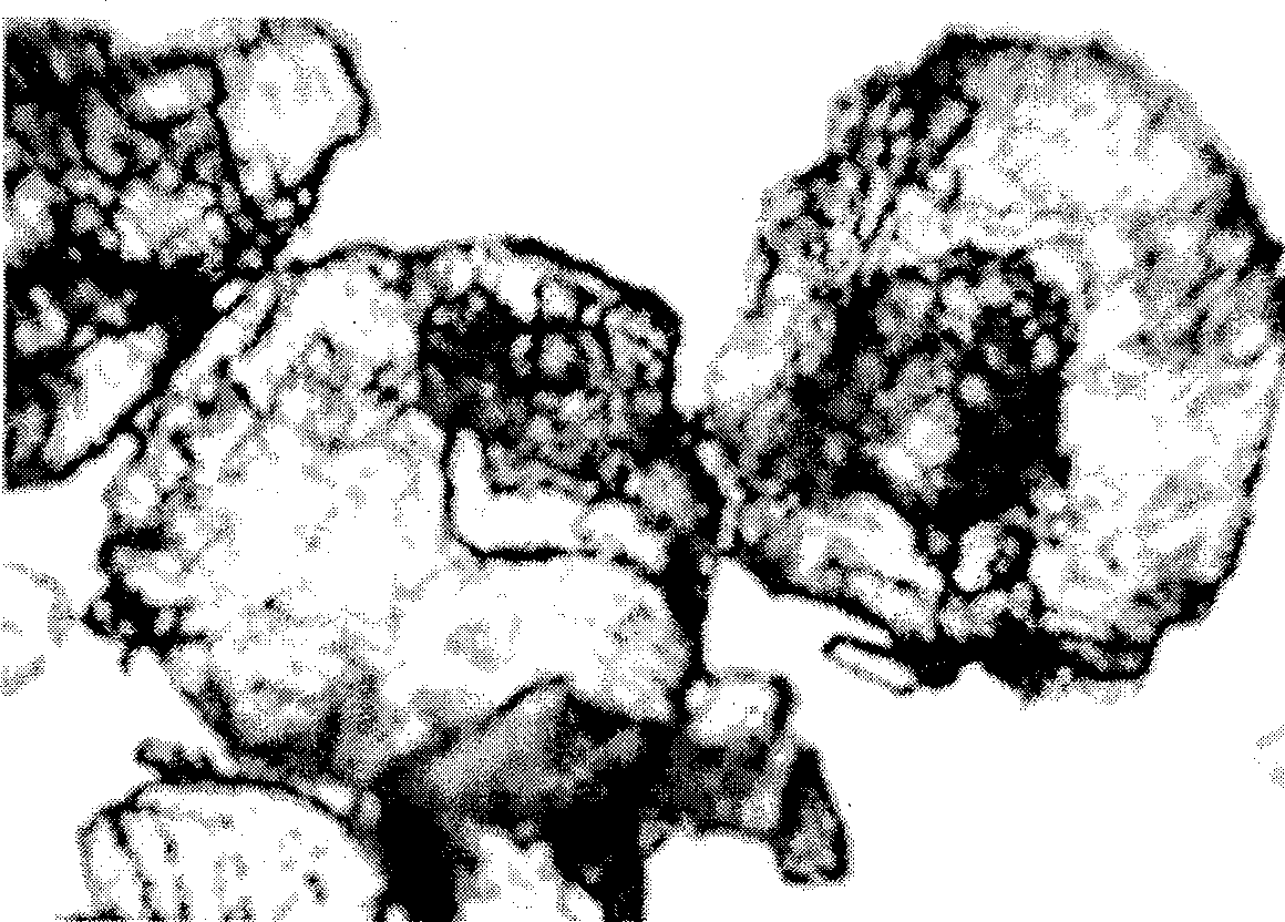 Method for producing acrylic amide crystal