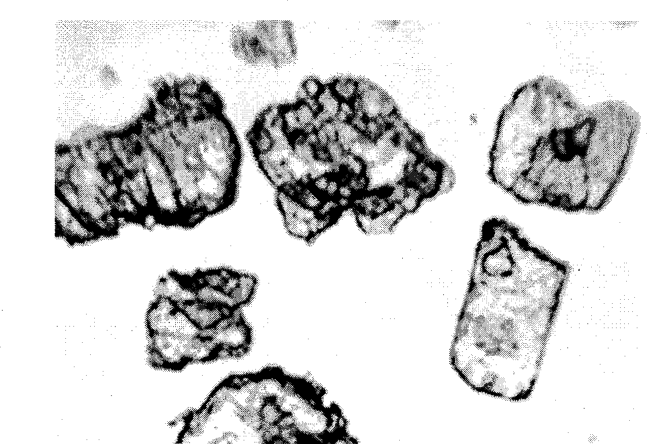 Method for producing acrylic amide crystal