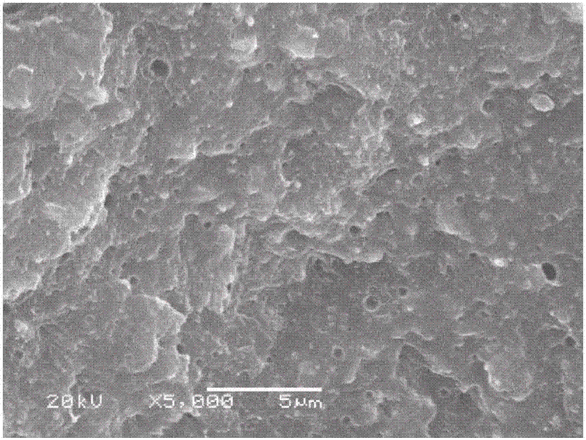 PA6/MgO thermal-conductive composite material and preparation method thereof