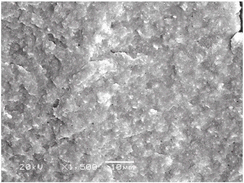 PA6/MgO thermal-conductive composite material and preparation method thereof