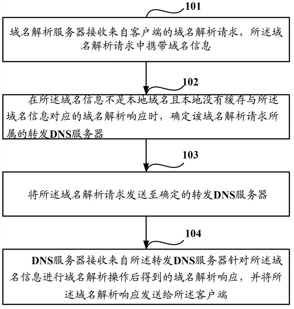 Domain name resolution method, domain name system (DNS) server and domain name resolution system