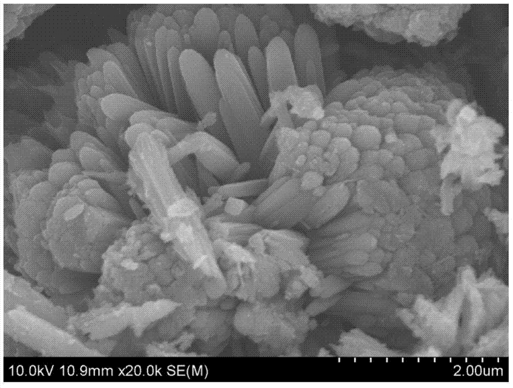 Controlled preparation method of ordered titanium dioxide nano-material