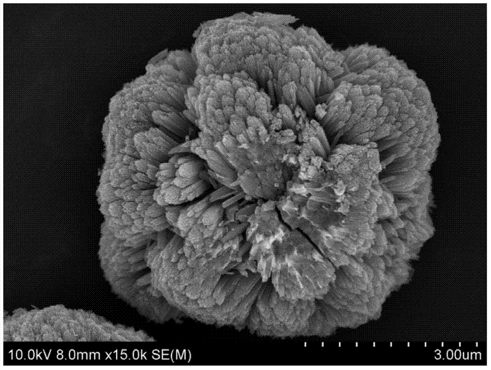 Controlled preparation method of ordered titanium dioxide nano-material