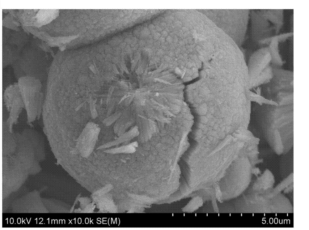 Controlled preparation method of ordered titanium dioxide nano-material