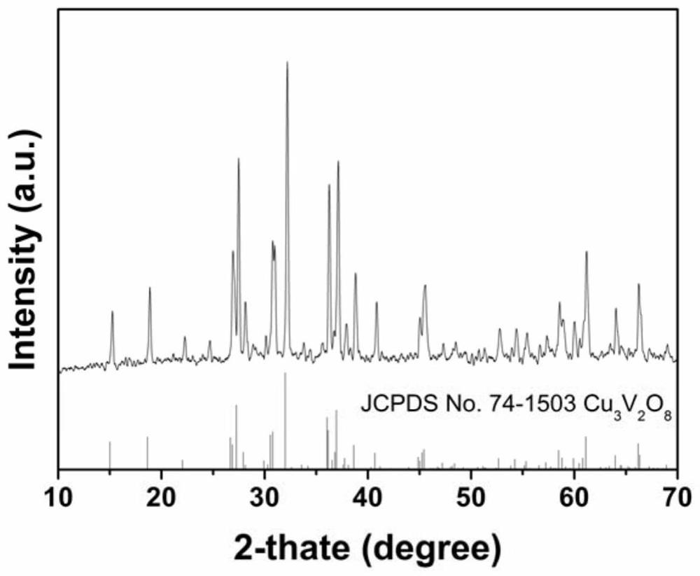 Preparation method of Cu3V2O8 nano bead string rich in oxygen vacancy defects