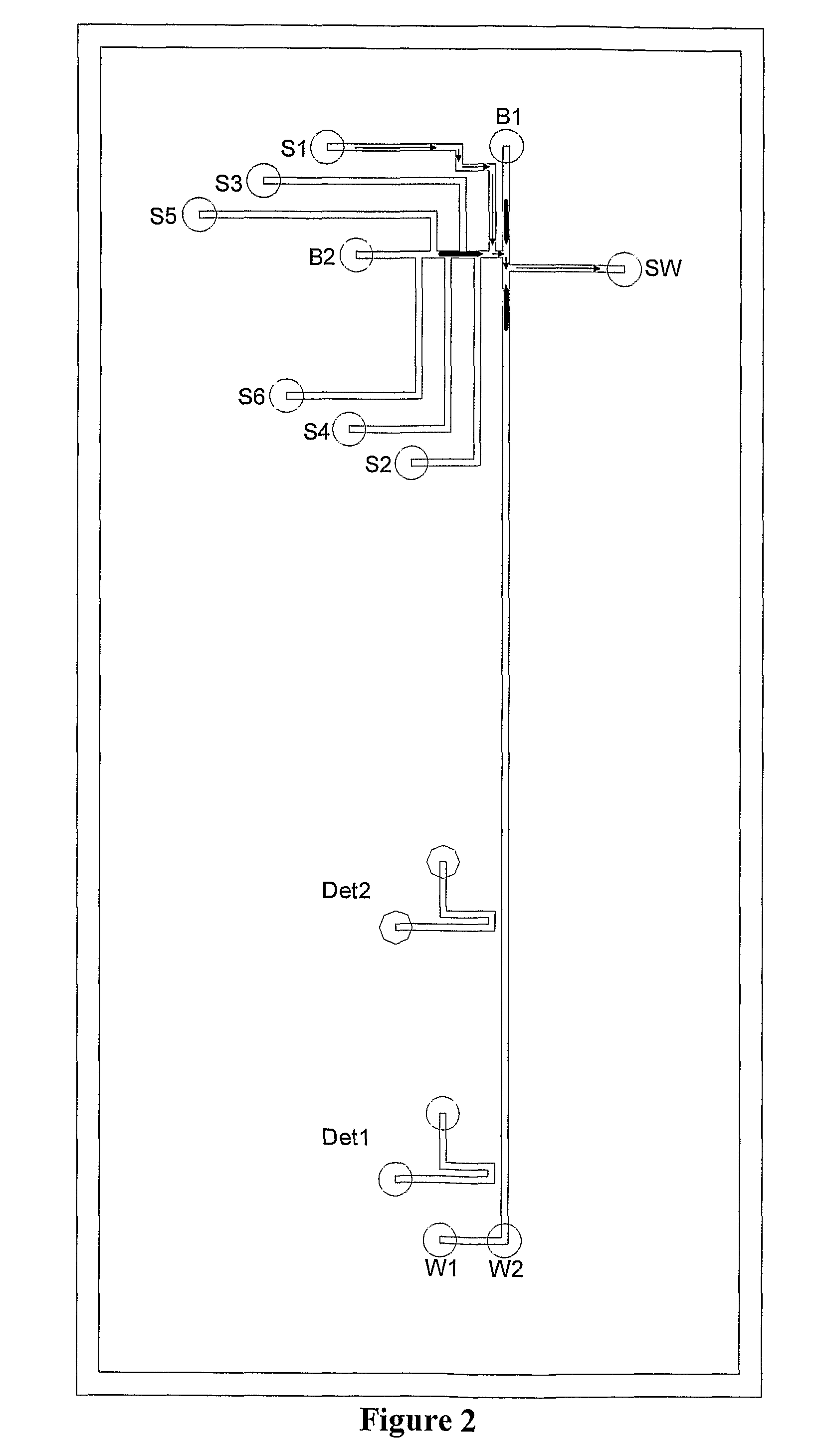 Multi-channel capillary electrophoresis microchips and uses thereof