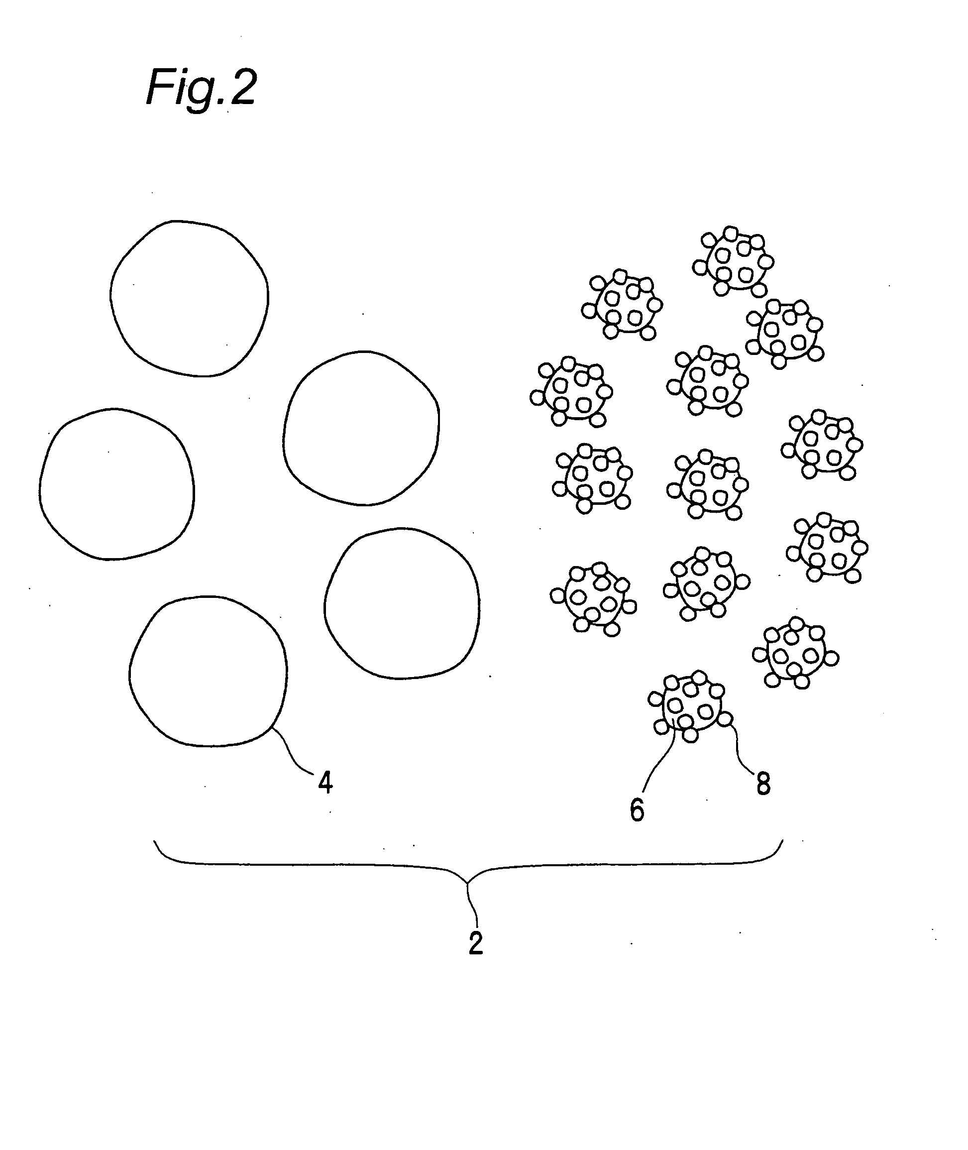 Developing device and image forming apparatus