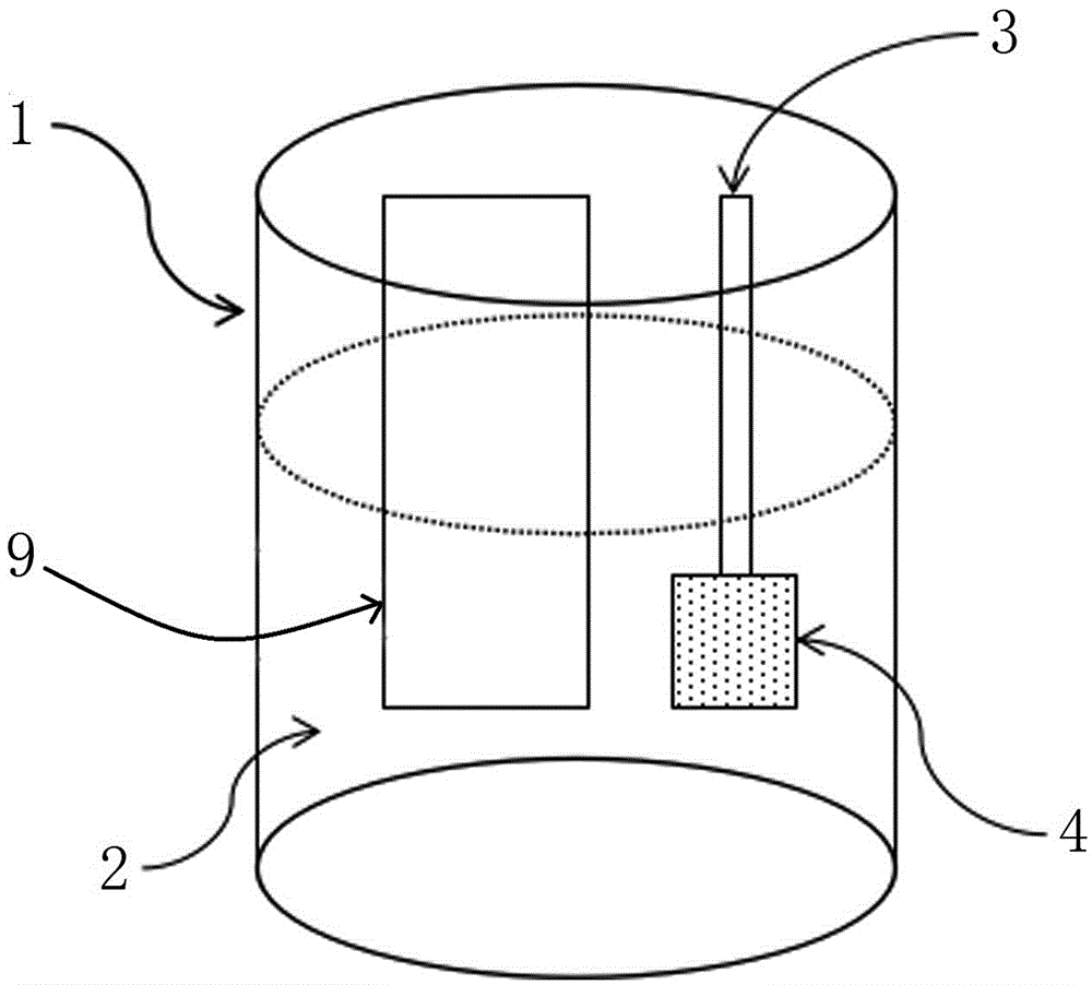 Salmonella sensor, preparation method and detection method of salmonella concentration