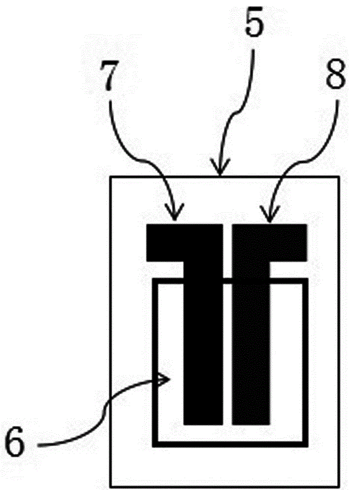 Salmonella sensor, preparation method and detection method of salmonella concentration