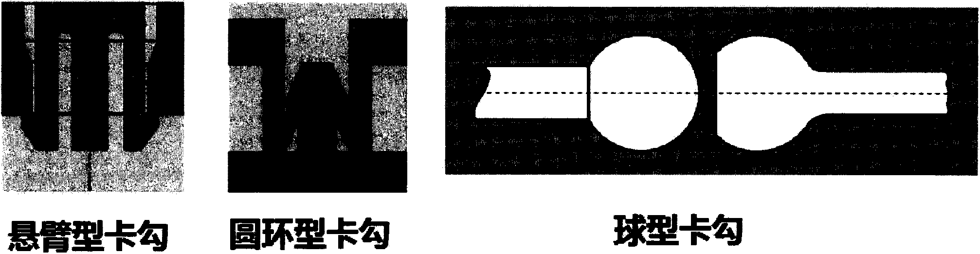 Lateral flow chip and its joint device