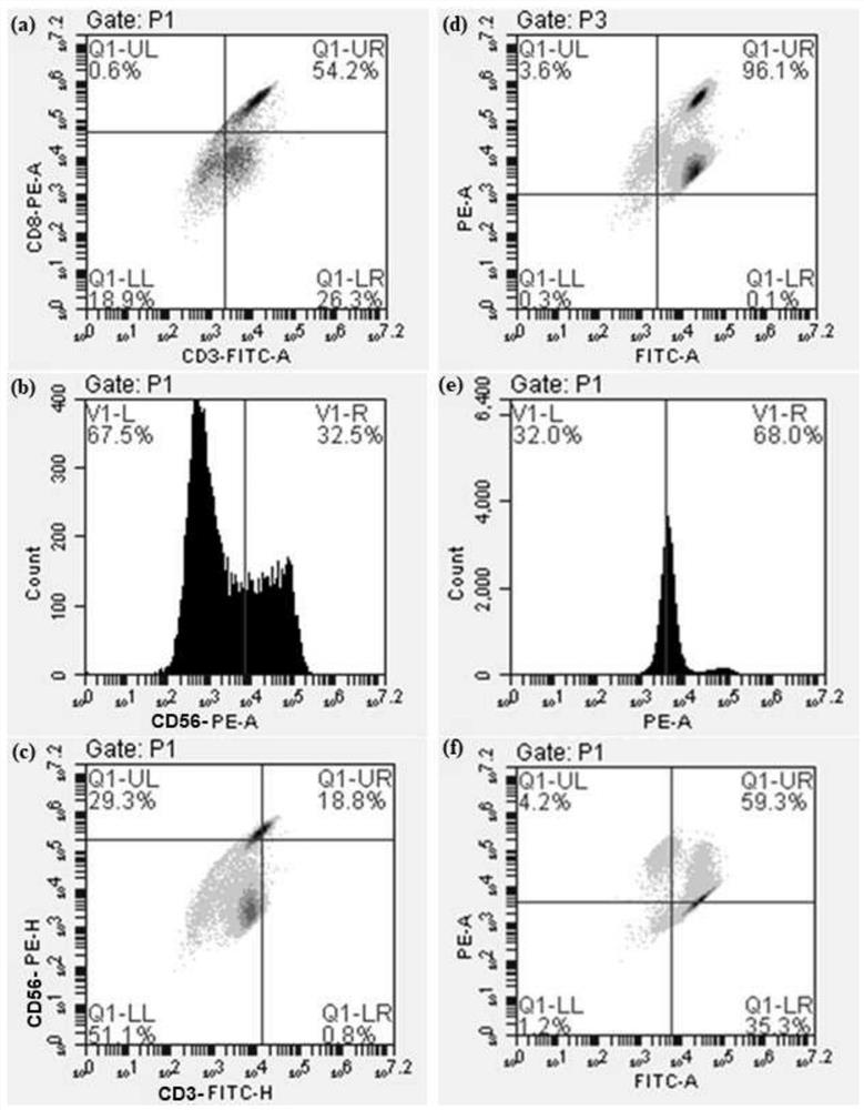 Composition for efficiently inducing and amplifying human peripheral blood killer immune cells, kit and culture method of immune cells