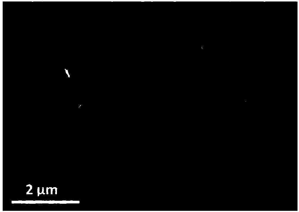 Expanded graphite negative electrode material loaded with cross-needle shaped tin oxide and preparation method thereof