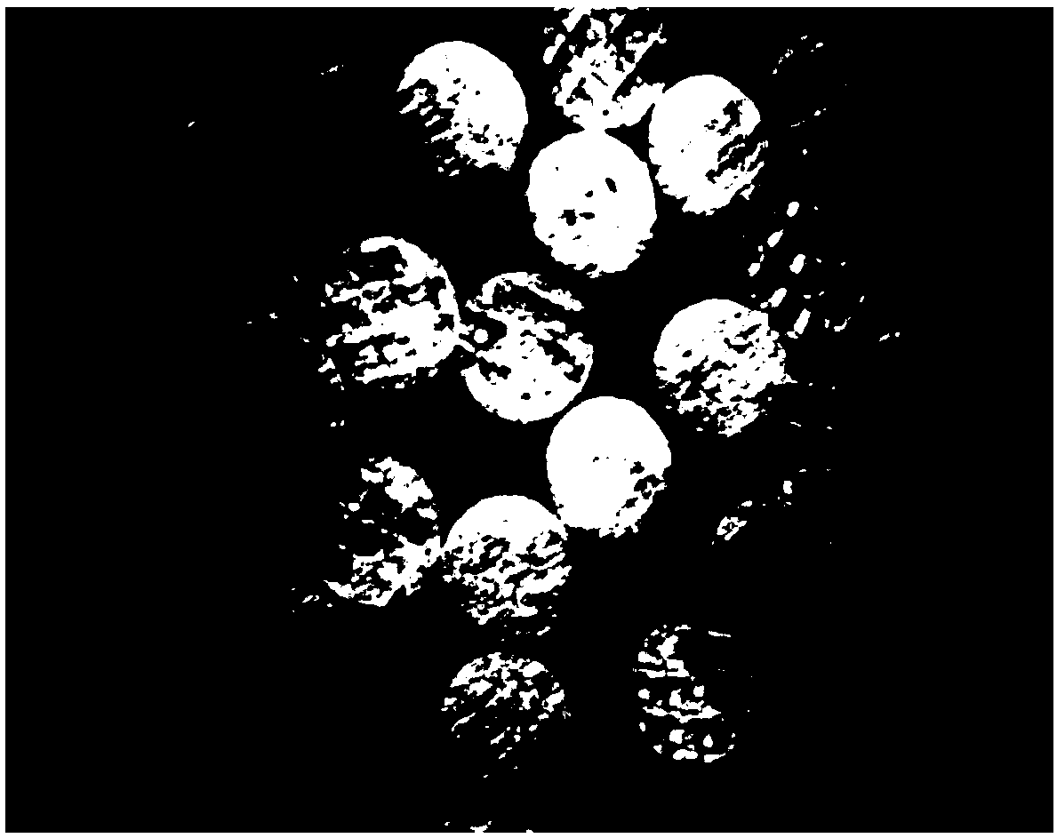 Serotype 8 recombinant adeno-associated virus preparation method